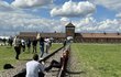 Lidé na sociální síti jsou v šoku z chování turistky, která zapózovala na kolejích u bývalého koncentračního tábora Osvětim-Březinka. 