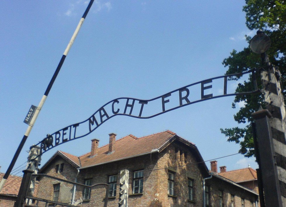 Zákon trestal pokutou nebo až třemi roky vězení používání slova „polský“ ve spojení s nacistickými zločiny a holokaustem