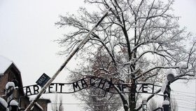 Brána s nápisem Práce osvobozuje na bráně koncentračního tábora Osvětim