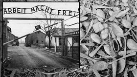 Bezcitný učitel z Německa řádil v koncentračním táboře: Kradl v Osvětimi příbory!