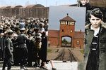 Umělkyně ukázala hrůzy holokaustu na barevných fotografiích.