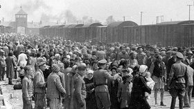 Do koncentračních táborů byly deportovány za války miliony lidí. Většina z nich tam zemřela.