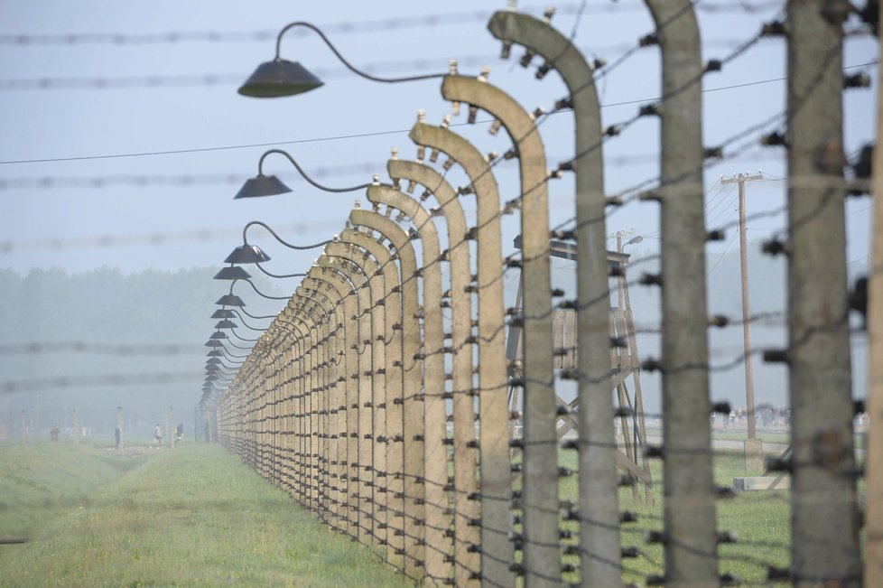 Jako pražská Židovka Bondyová za války prošla terezínským ghettem, rodinným táborem v Osvětimi i odklízením trosek v Hamburku.