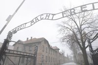 Turci hajlovali v Osvětimi a fotili se s nápisem „Arbeit macht frei“!