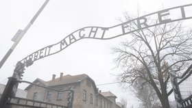 Německá policie zadržela nacistického zločince, který má svědomí životy osvětimských vězňů