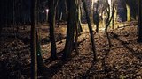 Petice s tisíci podpisy kritizuje LED osvětlení v Praze: Parky připomínají nákupáky!?