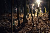 Petice s tisíci podpisy kritizuje LED osvětlení v Praze: Parky připomínají nákupáky!?