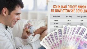 Začíná placená otcovská dovolená: Jak žádat a na kolik si tátové přijdou?