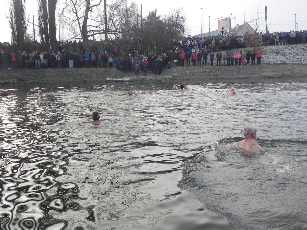 Třicítka otužilců si ledovou koupel náležitě užívala.