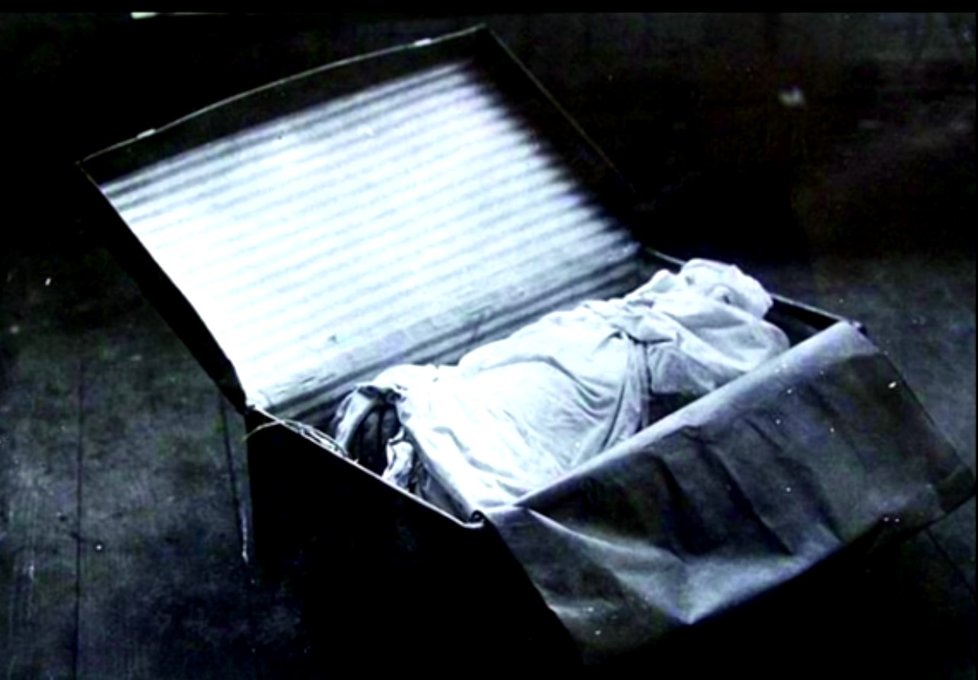 Kufr s ostatky Otýlie Vranské