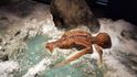 Před třiceti lety byla v Ötztalských Alpách objevena 5300 let stará mumie pračlověka. Podle místa nálezu dostal jméno Ötzi. Jeho ostatky i zbytky oděvu, bot a výbavy jsou k vidění v muzeu v Bolzanu.