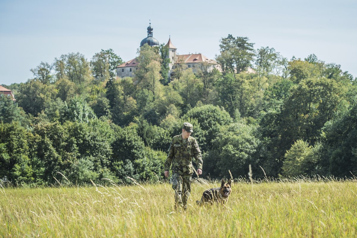 Německý ovčák Athos (9) je válečný hrdina z Afghánistánu