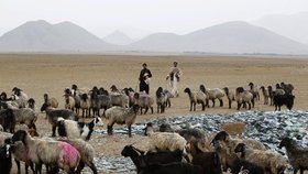 Rozhodnete se opustit Afghánistán a prodat majetek