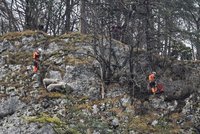 Kuriózní zásahy hasičů: Ze skály zachraňovali ovce, z rybníka srnce a z kolejnic kočku