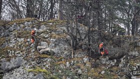 Kuriózní zásahy hasičů: Ze skály zachraňovali ovce, z rybníka srnce a z kolejnic kočku