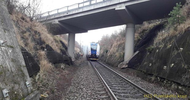 Vlak u Stříbra na Tachovsku srazil hospodářská zvířata.