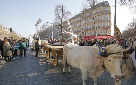 Zvířecí průvod byl součástí slavnostního zakončení zemědělského veletrhu Salon de l‘Agriculture.