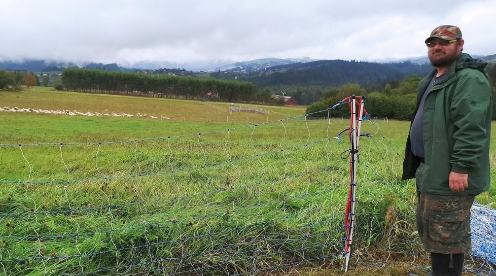 Bača srdcem i duší Jiří Pivec z Bukovce u ovcí spí v autě. Kvůli vlkům musí 200 kusů hnát večer do malé ohrady pod kopcem, což je velmi náročné a kde se pak celou noc mačkají.