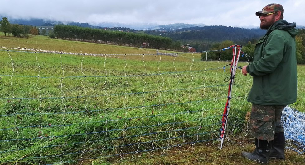 Bača srdcem i duší Jiří Pivec z Bukovce u ovcí spí v autě. Kvůli vlkům musí 200 kusů hnát večer do malé ohrady pod kopcem, což je velmi náročné a kde se pak celou noc mačkají.