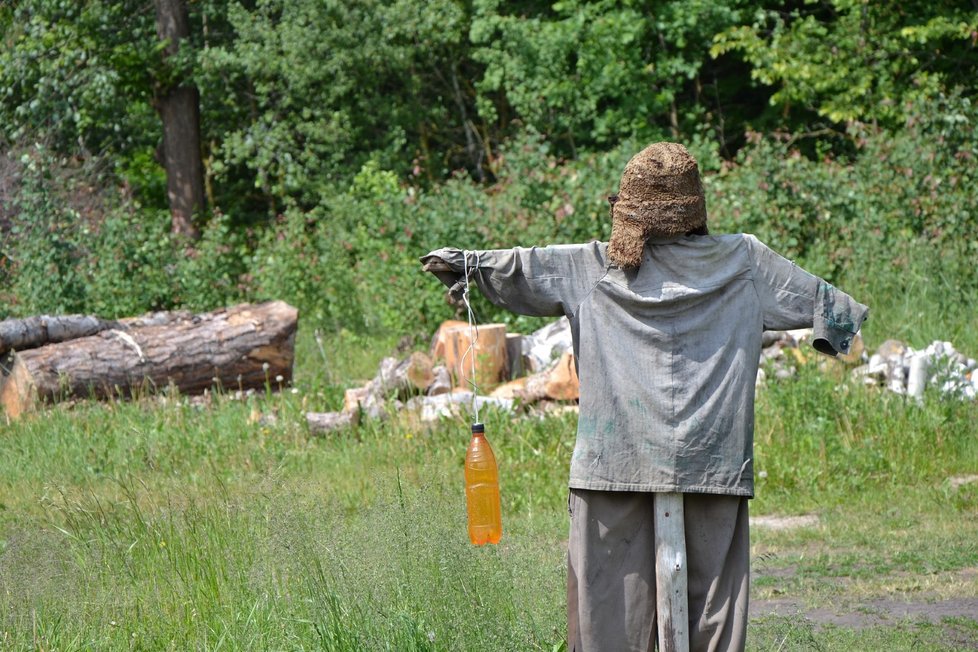 Hospodáři si pomáhají před predátory, jak to jde. Poblíž ohrad třeba staví strašáky.