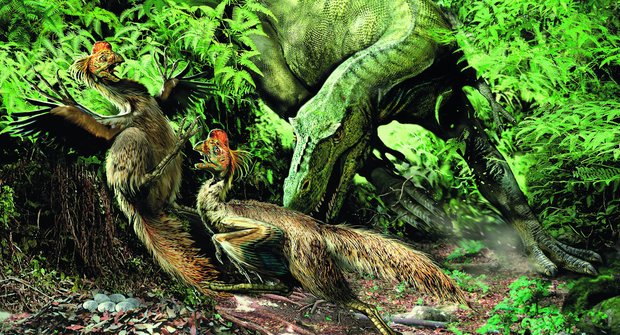 ABC dinosaurů: Oviraptor připomínal papouška