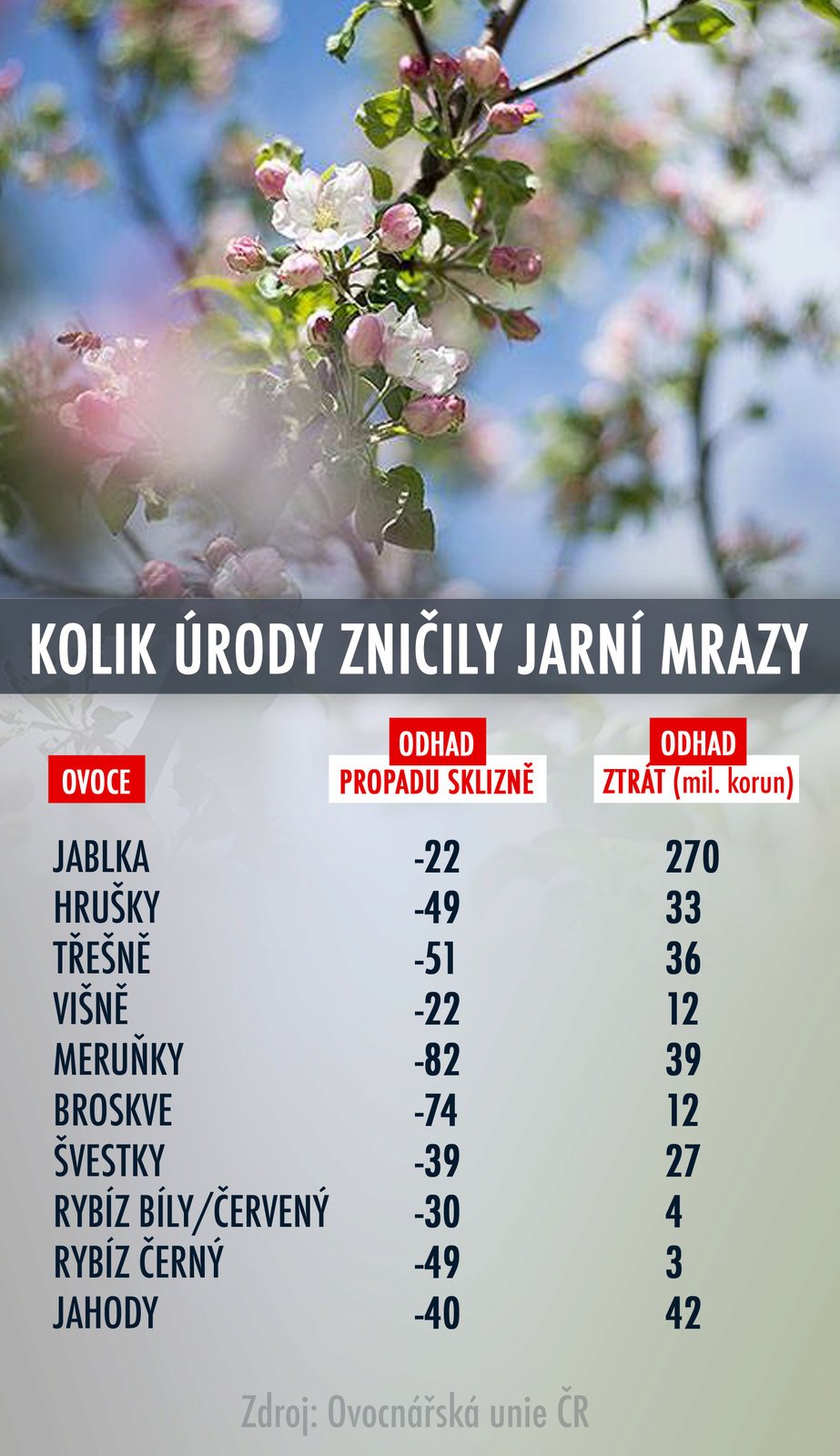 Mrazy, které Česko zasáhly v noci na dnešek, způsobily ovocnářům podle prvních odhadů škody za desítky milionů korun