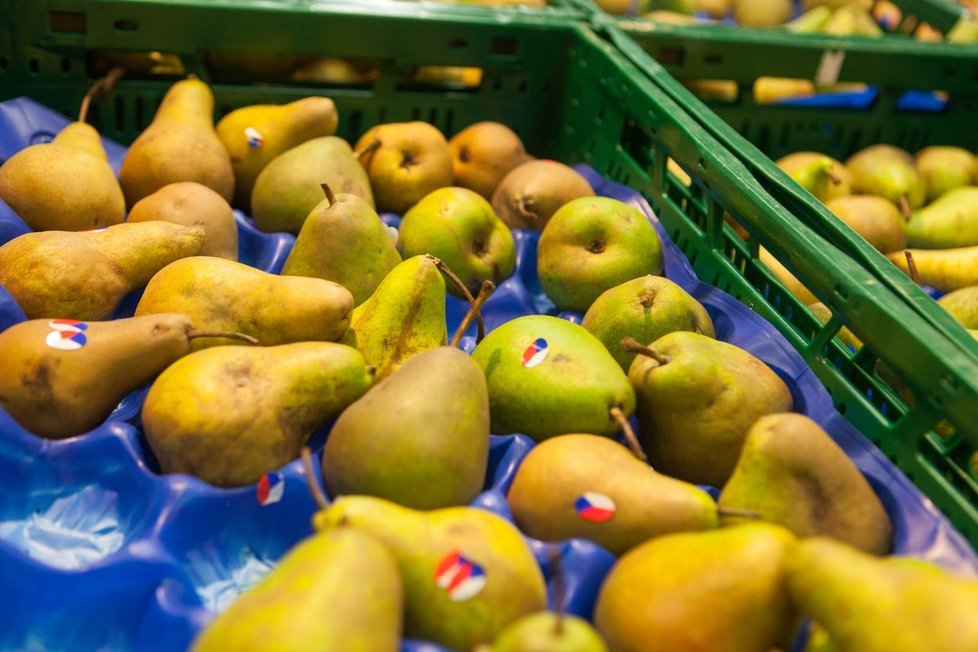 Evropská komise nařizuje u 10 druhů ovoce a zeleniny zvláštní obchodní normy. Dříve jich bývalo šestatřicet včetně požadavků na „křivé“ okurky a banány.