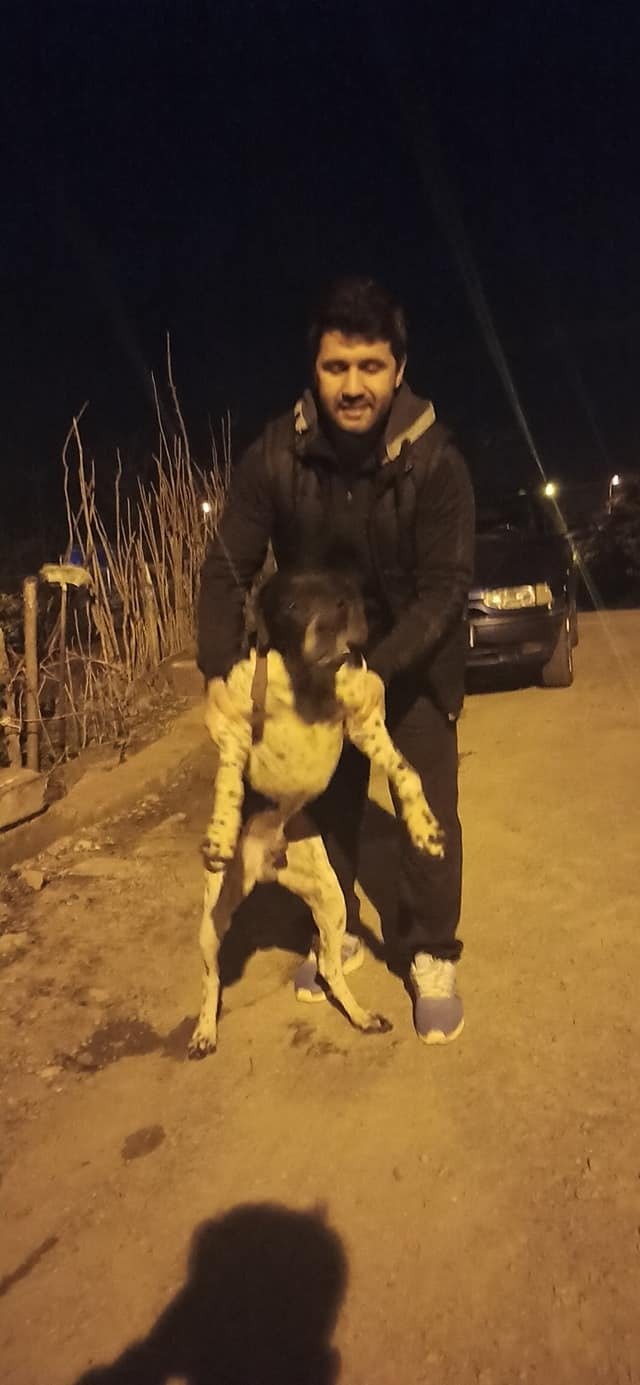 Novopečený otec Ozgur Gevrekoglu z Turecka zemřel na lovecké výpravě. Jeho pes zmáčkl spoušť brokovnice.