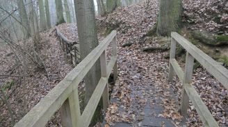 Za prastarými duby do Orlinského údolí. Nová stezka vás nenápadně provede divokou přírodou Za prastarými duby do Orlinského údolí. Nová stezka vás nenápadně provede divokou přírodou