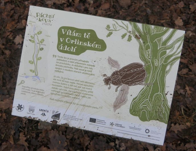 Páchník hnědý obývá výhradně staré stromy a stal se průvodcem po nové naučné stezce. Páchník hnědý obývá výhradně staré stromy a stal se průvodcem po nové naučné stezce.