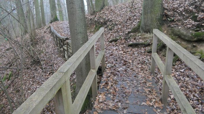 Páchníkova stezka má upozornit na význam cenných biotopových stromů v lese. Páchníkova stezka má upozornit na význam cenných biotopových stromů v lese.
