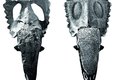 Lebeční výrůstky pachyrinosaura měly různý tvar i velikost