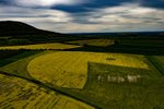 Skupina Ztohoven vysekala pod Řípem do řepky Pac-mana.