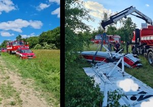 Na poli u Bořitova na Blanensku se v sobotu zřítilo malé letadlo. Pilot zemřel.