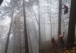 Paraglidistka skončila v korunách stromů. Dolů jí museli pomoci.