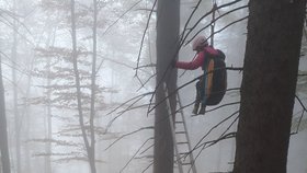 Paraglidistka skončila v korunách stromů. Dolů jí museli pomoci.