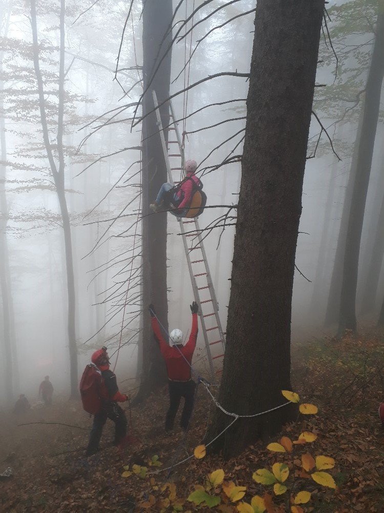 Paraglidistka skončila v korunách stromů. Dolů jí museli pomoci.