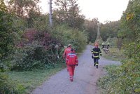 Vichr shodil na okraji Brna strom na maminku s kočárkem: Dítě zemřelo!