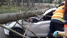 Smrk u Rokycan spadl na auto a slisoval ho! Řidička má těžká zranění