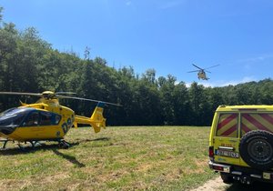 Hned dva vrtulníky musely vzlétnout kvůli zraněnému chlapci u Senorad na Brněnsku.
