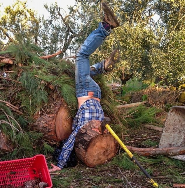 Dřevorubec se povalil jako strom.