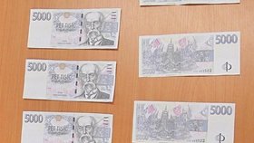 Padělky bankovek, které policie zabavila