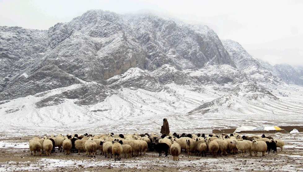 Pastevec se svým stádem v horách v Afghánistánu