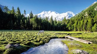 Pákistánský Gilgit-Baltistán: Tibet meruněk