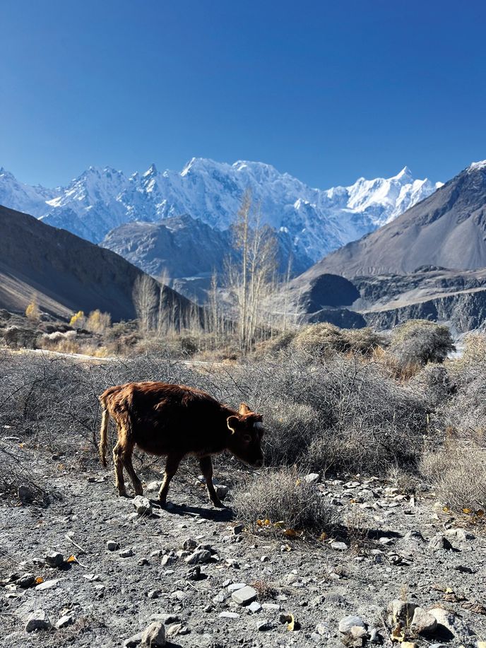 Blízko hranice s Čínou Blízko hranice s Čínou
