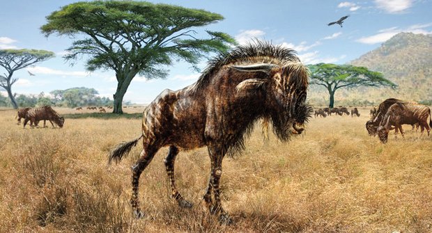 Pravěký pakůň: Antilopa s dinosauřím čumákem