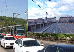 Labutě se nedaří efektivně u pražských mostů ochránit, zkouška nového řešení se v minulosti nezdařila.