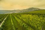 Pálava z výšky: Užijte si famózní pohled na moravské vinice
