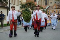 3 největší vinobraní v Česku aneb Jak se slaví svátek vína