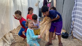 Kočky Simsim, Brownie a Liza dělají radost dětem v uprchlickém táboře u města Chán Júnis v Pásmu Gazy.